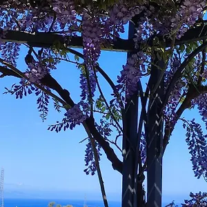  Hébergement de vacances Casa Del Poggio Barone - Limone
